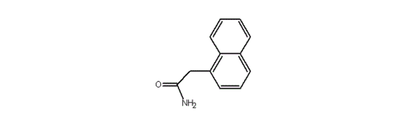 1-Naphthyl acetamide