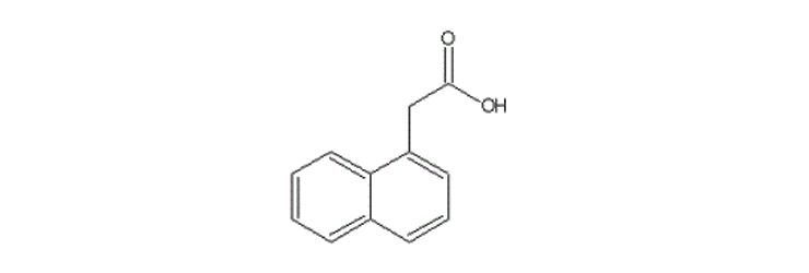 1-Naphthyl Acetic Acid (ANAA)