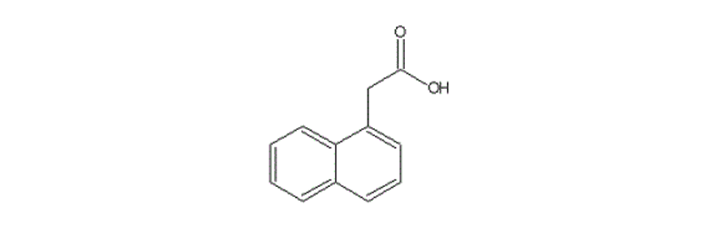 1-Naphthyl Acetic Acid (ANAA)