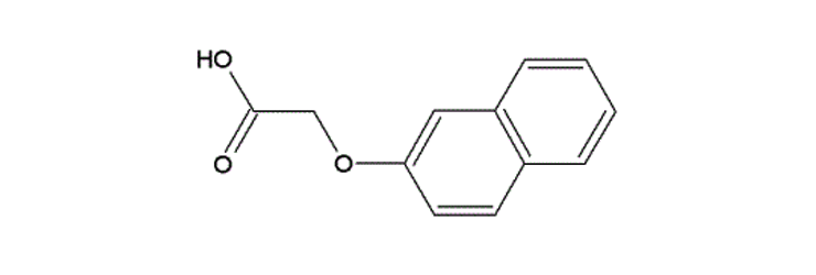 2-Naphthoxy Acetic Acid