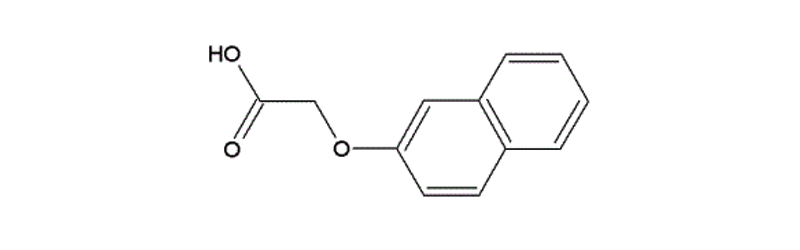 2-Naphthoxy Acetic Acid