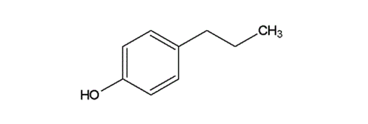 p-n-Propylphenol
