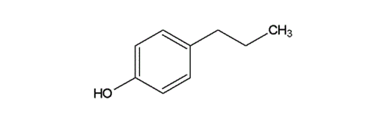 p-n-Propylphenol